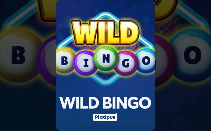 Go wild on the electronic boards of Wild Bingo at BC Game for instant real money wins.